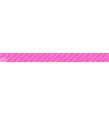 Washi Masté Básico Pink Stripes