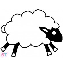 Sello Tinchie Sheep