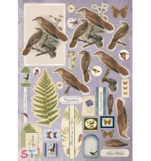 Nature's Gallery A4 Decoupage Pack Birds